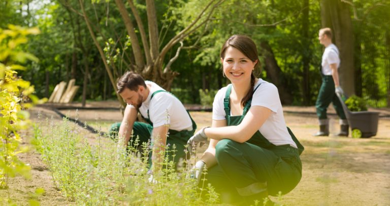 33+ Gartenhilfe Gesucht Privat, Wenn eine gartenhilfe gesucht wird,